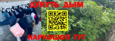 ПСИЛОЦИБИНОВЫЕ ГРИБЫ Донской