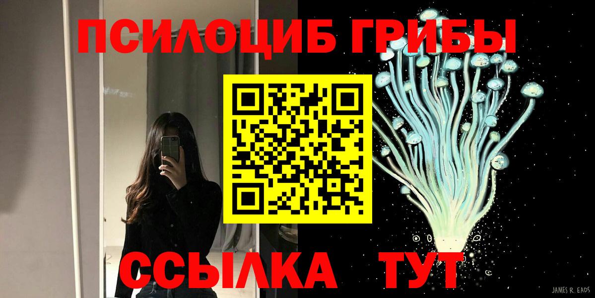 Галлюциногенные грибы Psilocybine cubensis  Псилоцибиновые грибы Magic Shrooms  Малгобек  Вход с VPN 
